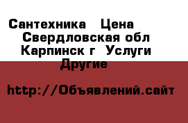 Сантехника › Цена ­ 500 - Свердловская обл., Карпинск г. Услуги » Другие   